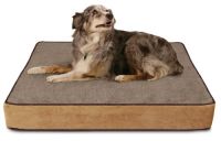 Foam Dog Bed