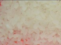Round Grain Rice