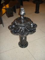 fountain ortho