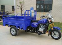 Cargo Tricycle