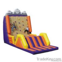 Inflatable Rock Climbing Wall