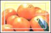 Mandarin orange