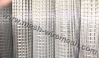Galvanized Welded Wire Mesh
