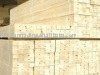 Want To Sell Poplar/pine LVL