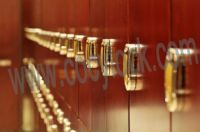 RFID Cabinet Lock