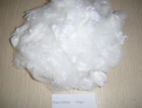Polyester Staple Fiber