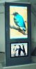 57" Tote Digital Signage AD Display (GD570X01HBA-L01)