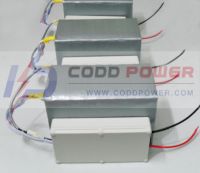 LiFePO4 Battery Pack / E-Bike Battery Pack From China