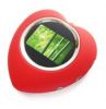 Digital Photo Frame