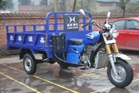 Three Wheel Vehicle