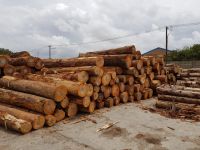 Eucalyptus Logs From South Africa