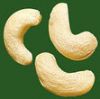 Cashew Nut Suppliers | Cashew Nut Exporters | Cashew Nut Manufacturers | Cheap Cashew Nut | Wholesale Cashew Nut | Discounted Cashew Nut | Bulk Cashew Nut | Cashew Nut Buyer | Import Cashew Nut | Cashew Nut Importers 