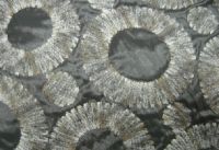 Color Embroidery Fabric