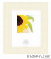 PS photo frame