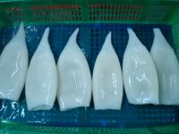 Squid Tube
