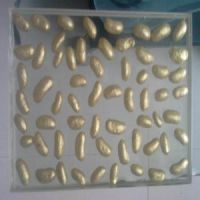 Laminated glass