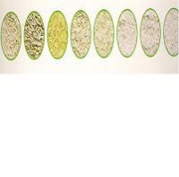 A K Super Basmati Rice