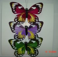 Feather Butterfly