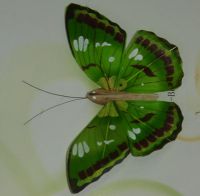 Artificial Butterfly