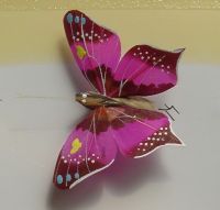 Cristmas Feather Butterfly