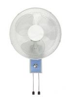 Electric Fan