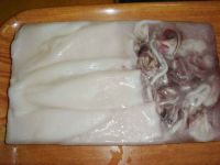 frozen squid