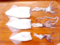 squid tubes&tentacles