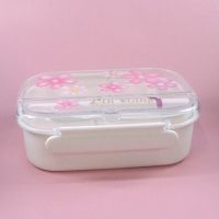 Lunch boxes
