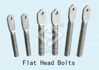 flat head bolt From China