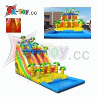 Inflatable Dragon Water Slide with the Pool (CH-IS2014)