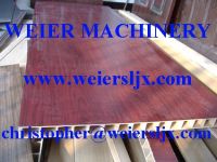 Wood-plastic door(hollow board) production line