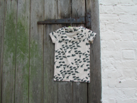 Baby clothes (T shirt, pants, shoes)