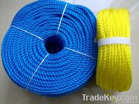 PE Rope