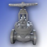 Globe Valve