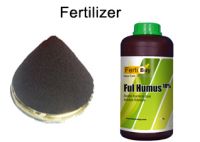 Seaweed Extract