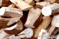 Cassava Slide
