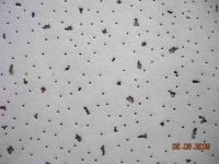 Mmineral Wool Ceiling Board