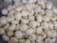 Sell pure white garlic