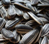 Black Sunflower Seeds 5009