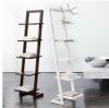 Learning Shelves