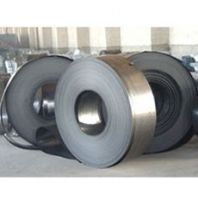 sell cold rolled steel strips From China