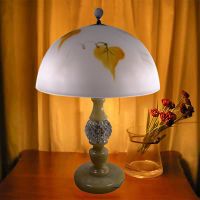 dimmable energy saving table light(RL512)