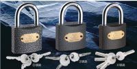 Plastic Painted Iron Padlock