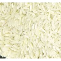 Supplier of Jasmine Rice