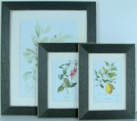 Photo Frame