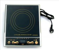 Electric Oven