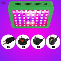 300W 600W 1200W 1800W LED Grow Lamps For Indoor Plants Flowering And Growing