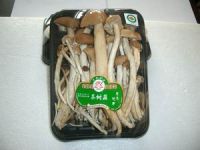 https://cn.tradekey.com/product_view/Agrocybe-Aegerita-Mushroom-1419616.html