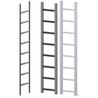 vertical ladder and all of spare parts
