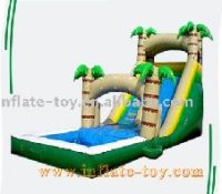 Inflatable Water Slide